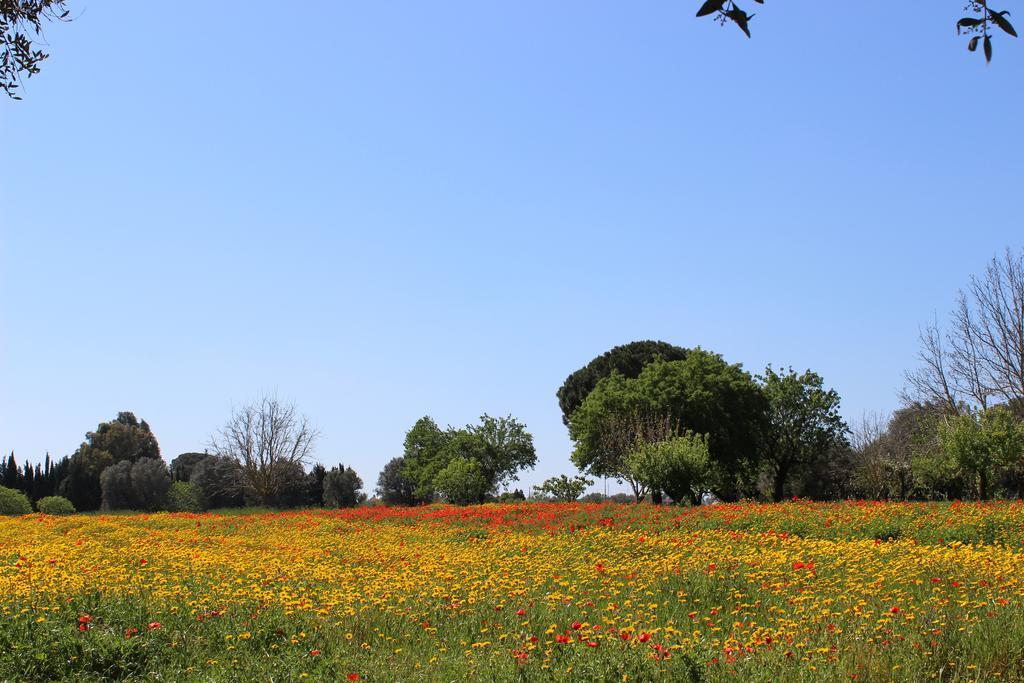 Casina Bardoscia Villa Cutrofiano Dış mekan fotoğraf